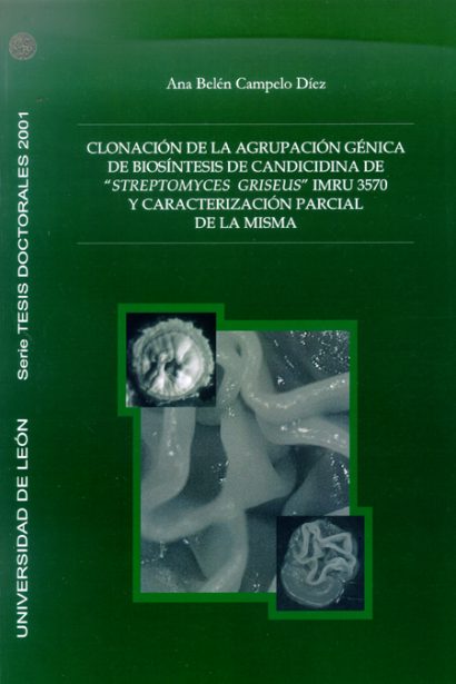Clonación de la agrupación génica de biosíntesis de candicidina de "Streptomyces griseus" imru 3570 y caracterización parcial de la misma