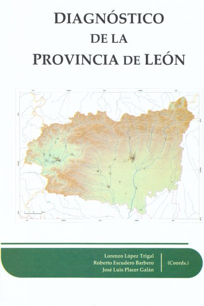 Diagnóstico de la provincia de León
