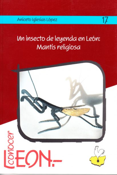 Un insecto de leyenda en León: Mantis Religiosa
