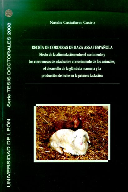 Recría de corderas de raza Assaf española