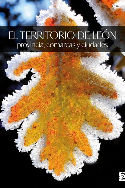 El territorio de León. Provincia, comarcas y ciudades