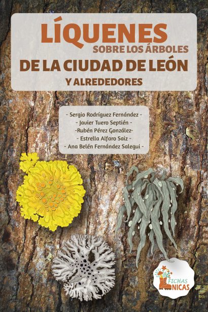 Líquenes sobre los árboles de la ciudad de león y alrededores
